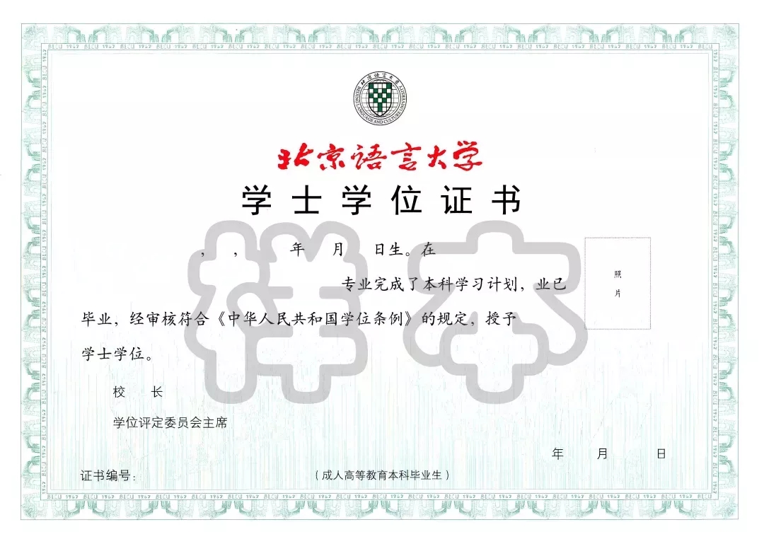 640 (1).webp (7)