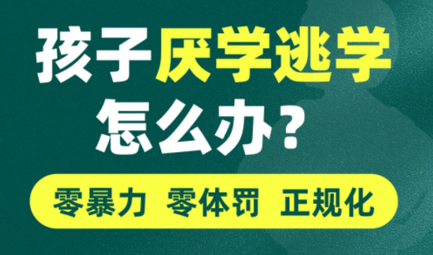 微信截圖_20241107134356